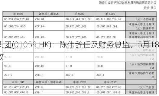 看通集团(01059.HK)：陈伟辞任及财务总监，5月18
起生效