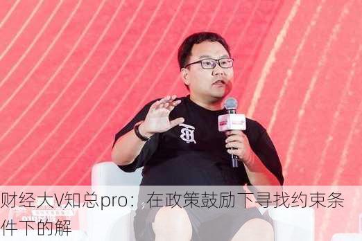 财经大V知总pro：在政策鼓励下寻找约束条件下的解