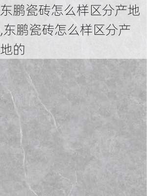 东鹏瓷砖怎么样区分产地,东鹏瓷砖怎么样区分产地的