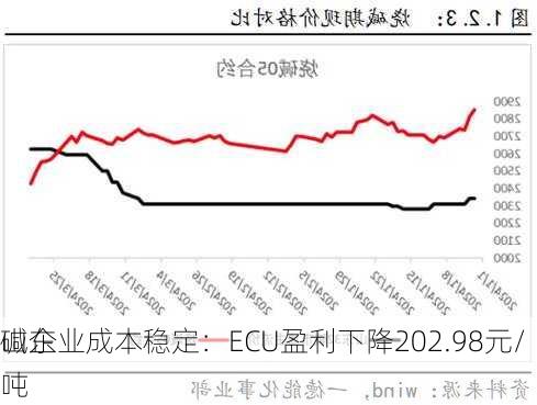 山东
碱企业成本稳定：ECU盈利下降202.98元/吨