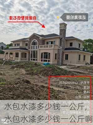 水包水漆多少钱一公斤,水包水漆多少钱一公斤啊