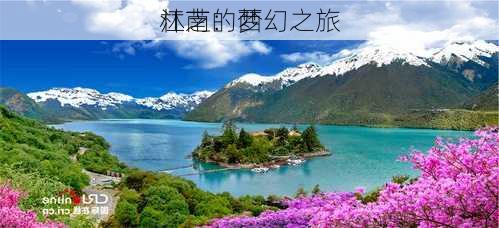 林芝：西
江南的梦幻之旅