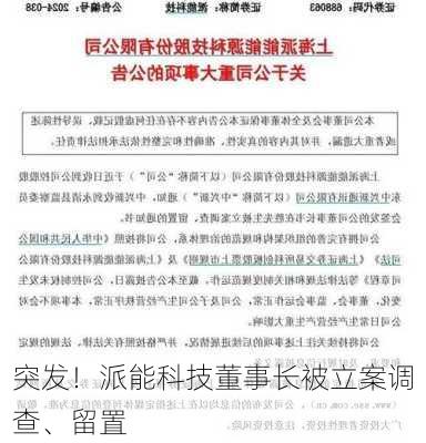 突发！派能科技董事长被立案调查、留置