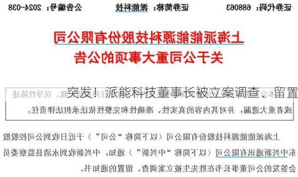 突发！派能科技董事长被立案调查、留置