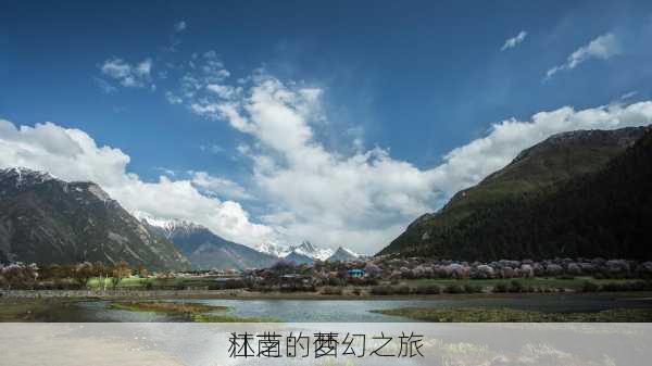 林芝：西
江南的梦幻之旅