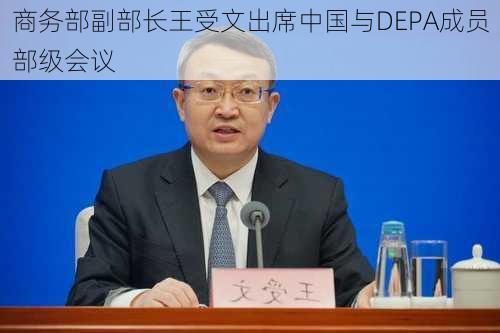 商务部副部长王受文出席中国与DEPA成员部级会议