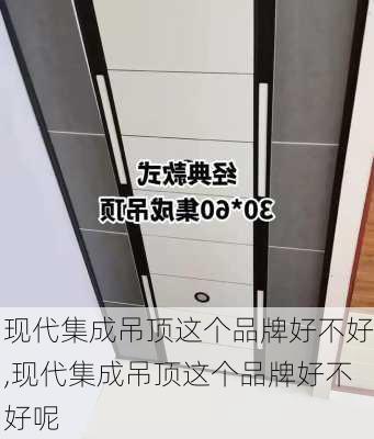 现代集成吊顶这个品牌好不好,现代集成吊顶这个品牌好不好呢