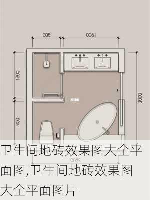 卫生间地砖效果图大全平面图,卫生间地砖效果图大全平面图片