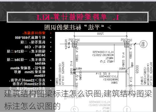 建筑结构图梁标注怎么识图,建筑结构图梁标注怎么识图的