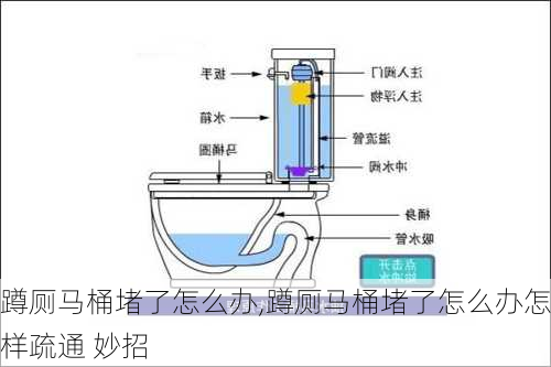 蹲厕马桶堵了怎么办,蹲厕马桶堵了怎么办怎样疏通 妙招