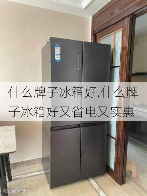 什么牌子冰箱好,什么牌子冰箱好又省电又实惠