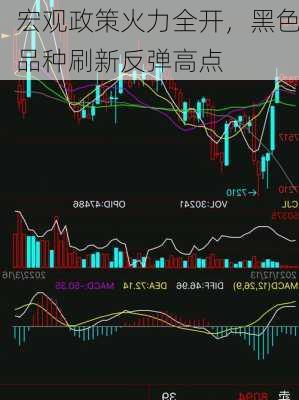 宏观政策火力全开，黑色品种刷新反弹高点