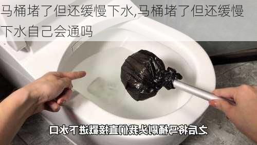 马桶堵了但还缓慢下水,马桶堵了但还缓慢下水自己会通吗