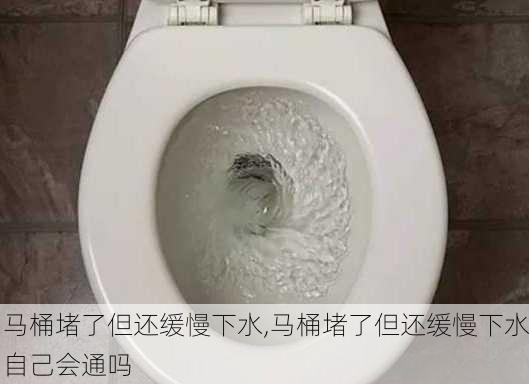 马桶堵了但还缓慢下水,马桶堵了但还缓慢下水自己会通吗