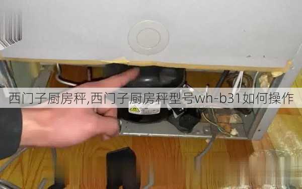 西门子厨房秤,西门子厨房秤型号wh-b31如何操作