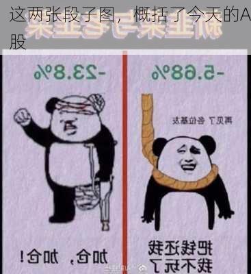 这两张段子图，概括了今天的A股