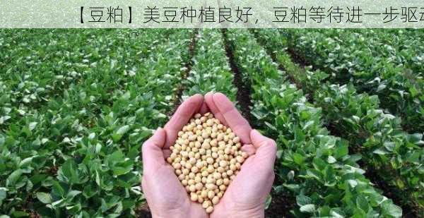 【豆粕】美豆种植良好，豆粕等待进一步驱动