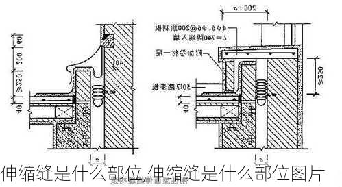 伸缩缝是什么部位,伸缩缝是什么部位图片