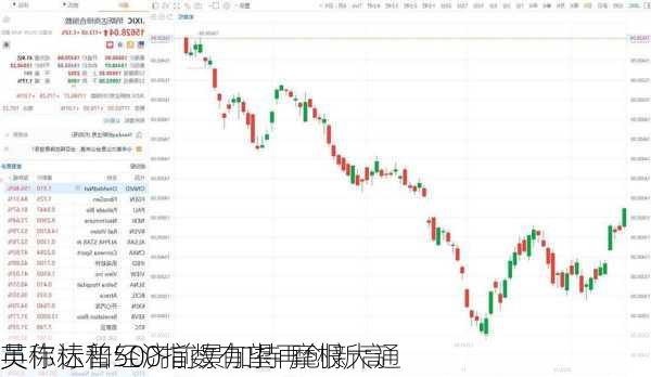 英伟达和经济前景加持 摩根大通
员称标普500指数有望再创新高