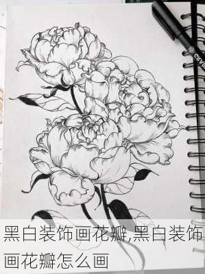 黑白装饰画花瓣,黑白装饰画花瓣怎么画