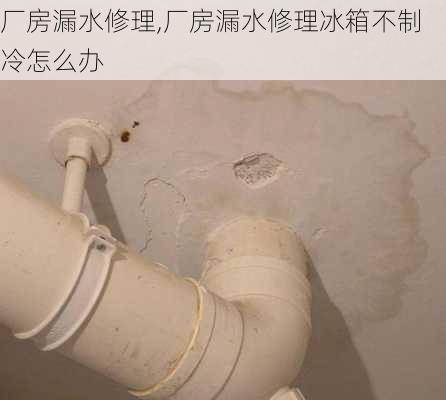 厂房漏水修理,厂房漏水修理冰箱不制冷怎么办