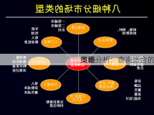 
市场
策略分析：查询适合的
类型