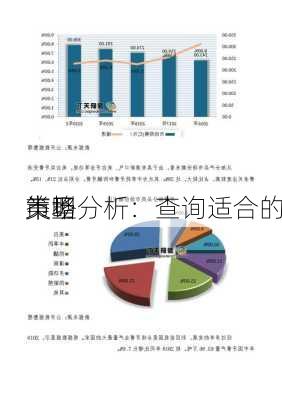 
市场
策略分析：查询适合的
类型