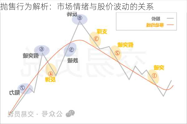 
抛售行为解析：市场情绪与股价波动的关系