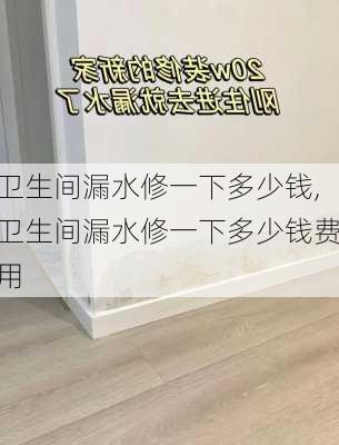 卫生间漏水修一下多少钱,卫生间漏水修一下多少钱费用