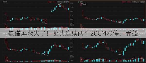 电磁屏蔽火了！龙头连续两个20CM涨停，受益
梳理