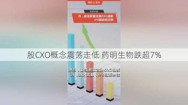 
股CXO概念震荡走低 药明生物跌超7%