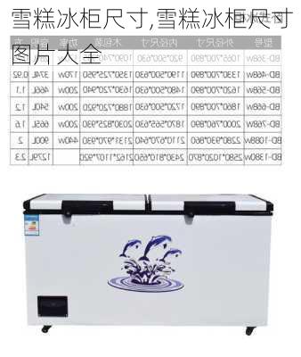 雪糕冰柜尺寸,雪糕冰柜尺寸图片大全