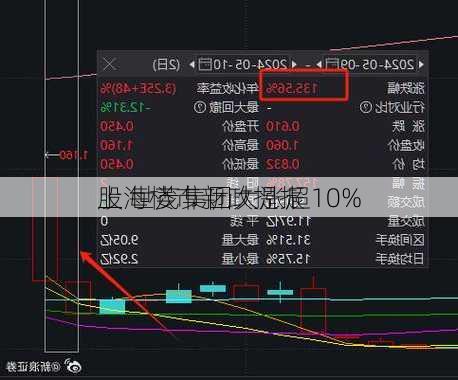 上海楼市新政提振
股 世茂集团大涨超10%