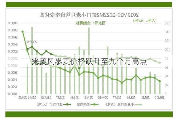 
完美风暴
来袭！小麦价格跃升至九个月高点