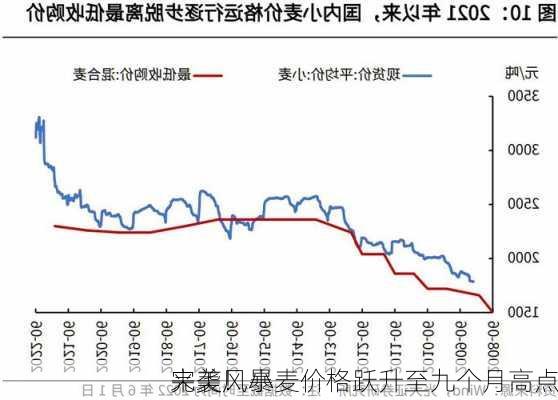 
完美风暴
来袭！小麦价格跃升至九个月高点