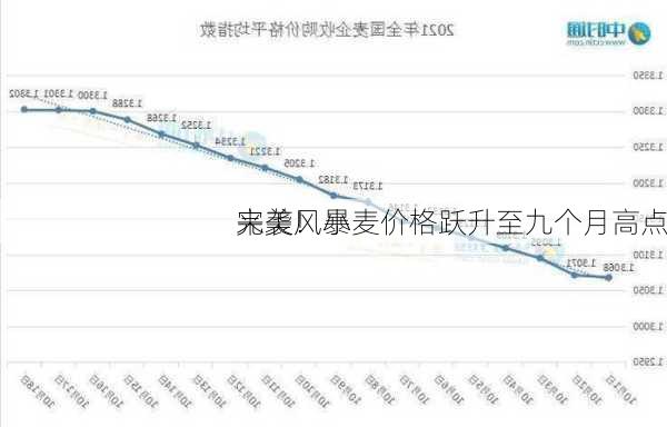 
完美风暴
来袭！小麦价格跃升至九个月高点