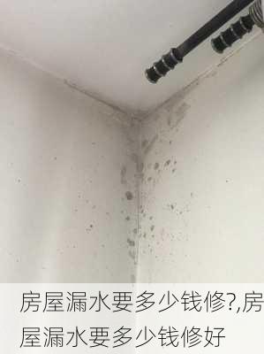 房屋漏水要多少钱修?,房屋漏水要多少钱修好