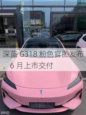 深蓝 G318 粉色官图发布，6 月上市交付