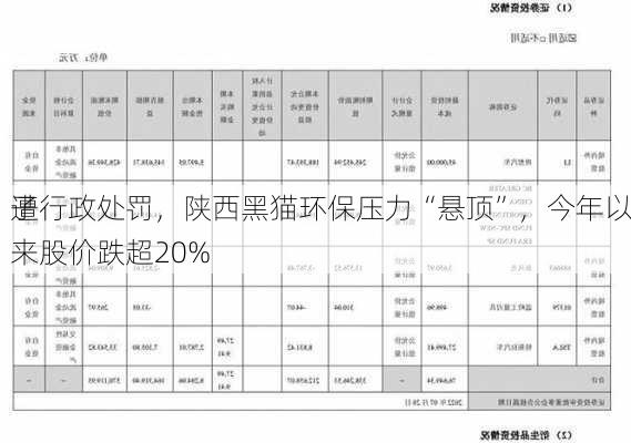 子
遭行政处罚，陕西黑猫环保压力“悬顶”，今年以来股价跌超20%