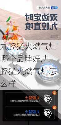 九腔猛火燃气灶哪个品牌好,九腔猛火燃气灶怎么样