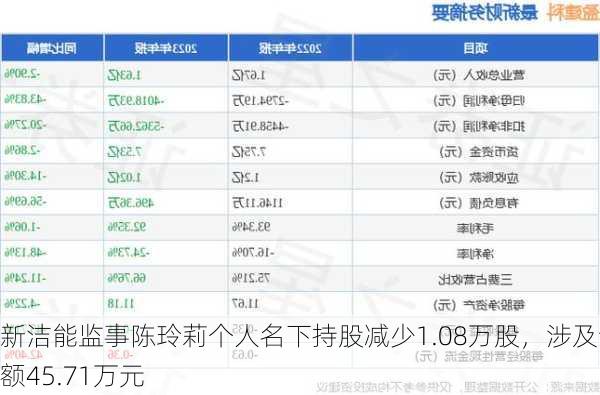 新洁能监事陈玲莉个人名下持股减少1.08万股，涉及金额45.71万元