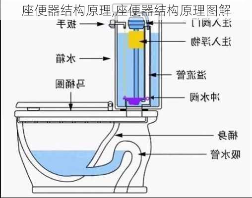 座便器结构原理,座便器结构原理图解