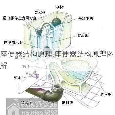 座便器结构原理,座便器结构原理图解