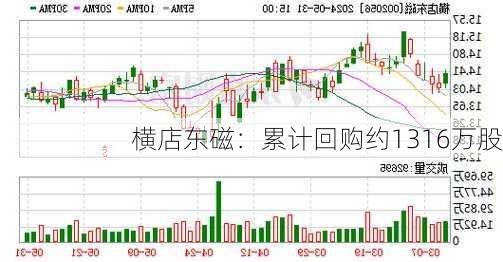 横店东磁：累计回购约1316万股