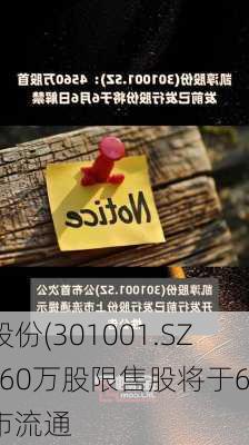 凯淳股份(301001.SZ)：4560万股限售股将于6月6
起上市流通