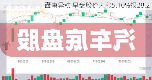 西南
盘中异动 早盘股价大涨5.10%报28.21
