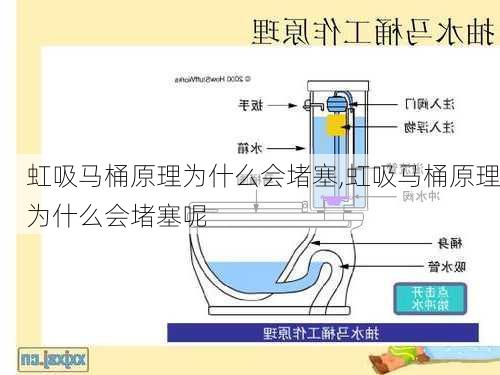 虹吸马桶原理为什么会堵塞,虹吸马桶原理为什么会堵塞呢