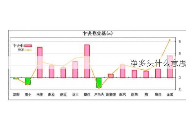 净多头什么意思