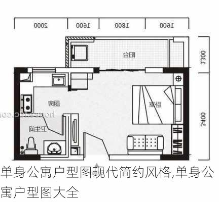 单身公寓户型图现代简约风格,单身公寓户型图大全