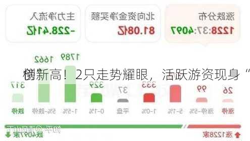 创新高！2只走势耀眼，活跃游资现身“
榜”